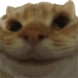 yes animated Discord emote | 𝒜 𝓌𝒽𝑜𝓁𝑒 𝓃𝑒𝓌 𝓌𝑜𝓇𝓁𝒹