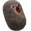 OMG animated Discord emote | 𝒜 𝓌𝒽𝑜𝓁𝑒 𝓃𝑒𝓌 𝓌𝑜𝓇𝓁𝒹