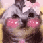 BlushingCat animated GIF emoji - Besties Community