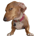 Side_Eye