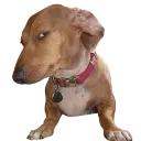 <:Side_Eye:1534838070891905114>