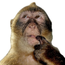 Da_Monkey