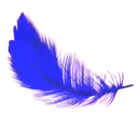 purple_amok_katsu