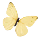 yellow_butterfly_katsu