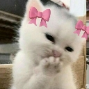 A white kitten covering its mouth with a paw while wearing pink bows on its ears.
