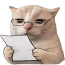 :cat_noted: