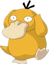 psyduck4