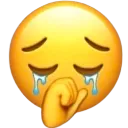 O_sadcry custom emote | Lumina.