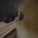 479713sideeyecat