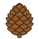 pine