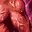 :skill0420: