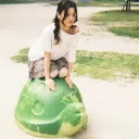 Iroha_turtle