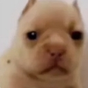 :babysoski: