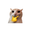 :cat_mog: