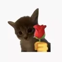 emoji_3