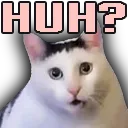 5560huhcat