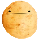 bruh