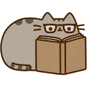 pusheenbook