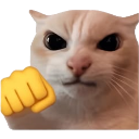 cudamsamset