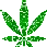 3566weedplantsparkle