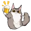 kc_cat_beer