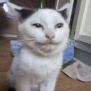 :emoji_21: