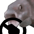 PogFishSteer animated GIF emoji - ノtype · chat · vc · giveaways · social · chill
