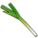 leek