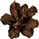 brown_flower_katsu