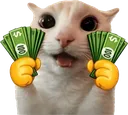 Moneyhands