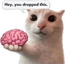 Nobrain