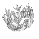 rotating_crown
