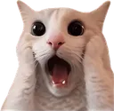 Shocked