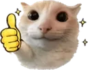 Upvote