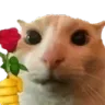 rosecat