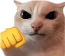 fight