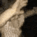 H_48 animated GIF emoji | النهاية