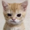 emoji_23 custom emote from النهاية