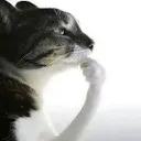 emoji_13