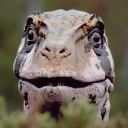 ALTAB Discord emoji
