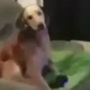 emoji_2 custom emote - 𝗔𝗯𝗼𝗦𝗮𝗹𝗲𝗵 𝗛𝗗
