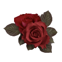 A pair of deep red roses with dark green leaves on a neutral background.