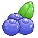 blueberry