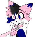 Hugo_Collar