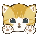 :05_cat06: