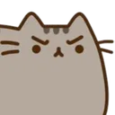Pusheen_Angry