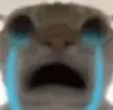 cat_crying_sad