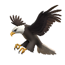 eagle custom emote | Eagle Community