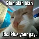gay