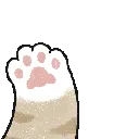 81801kittypaw23